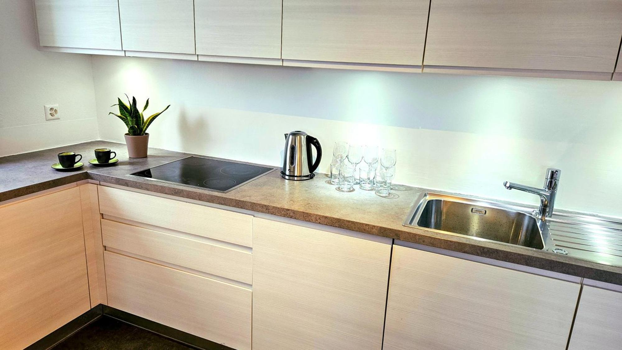 Bellavista Apartment With Free Parking لوغانو المظهر الخارجي الصورة
